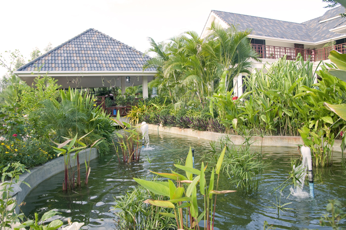 Pond Area