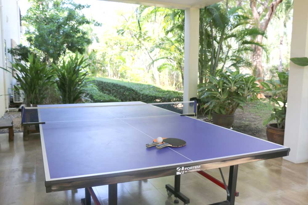 Table tennis family holiday villa